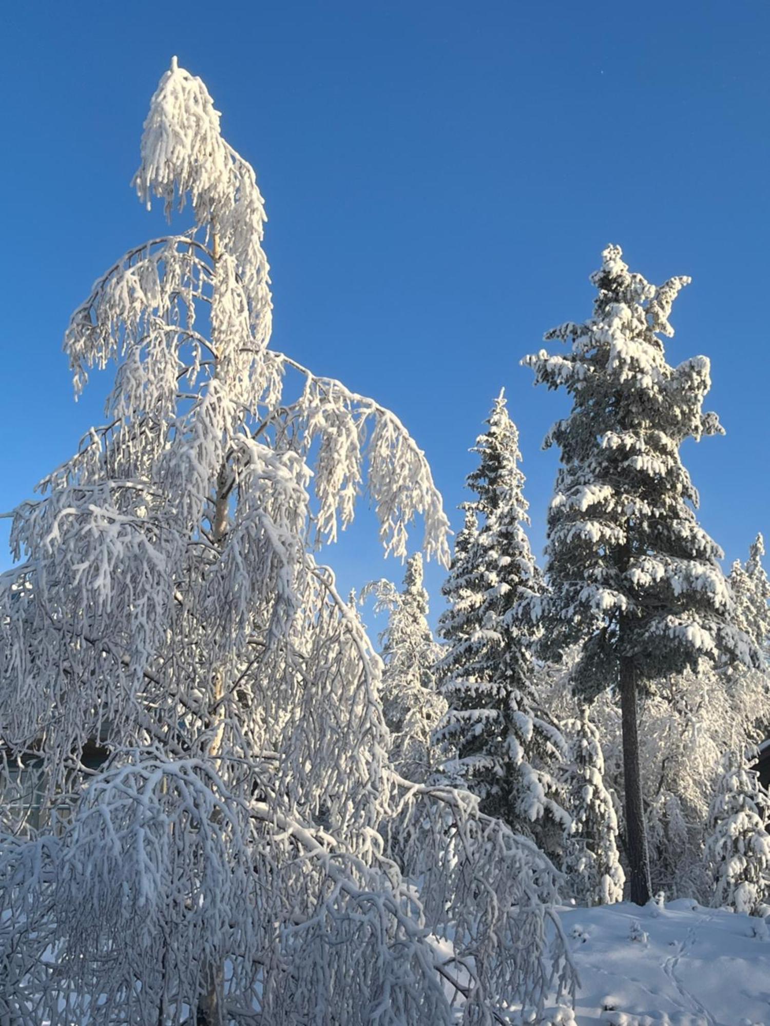 Idre Fjaell, Soederbyn Ski In Ski Out, 30 M Till Pisten Екстер'єр фото