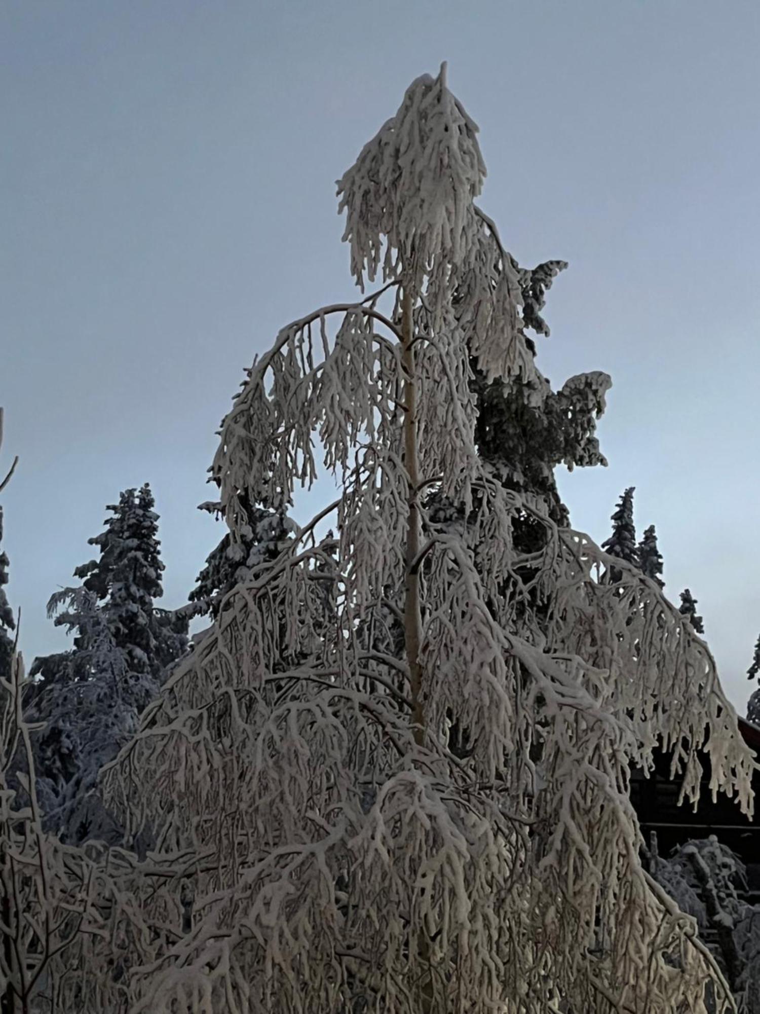 Idre Fjaell, Soederbyn Ski In Ski Out, 30 M Till Pisten Екстер'єр фото